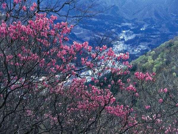 Hotel Shiobara Onsen Yama No Yado Shimofujiya Nasushiobara Zewnętrze zdjęcie